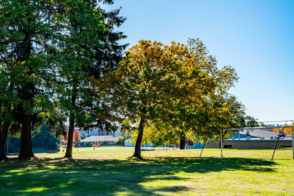 Park Vista Apartments Floyd Light Park